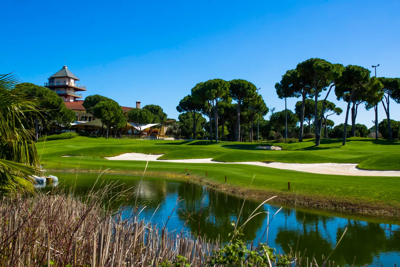 Montgomerie Golf